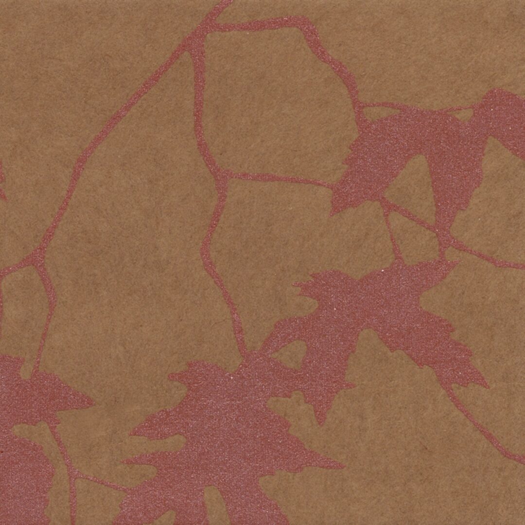 雲母集　枝もみじ