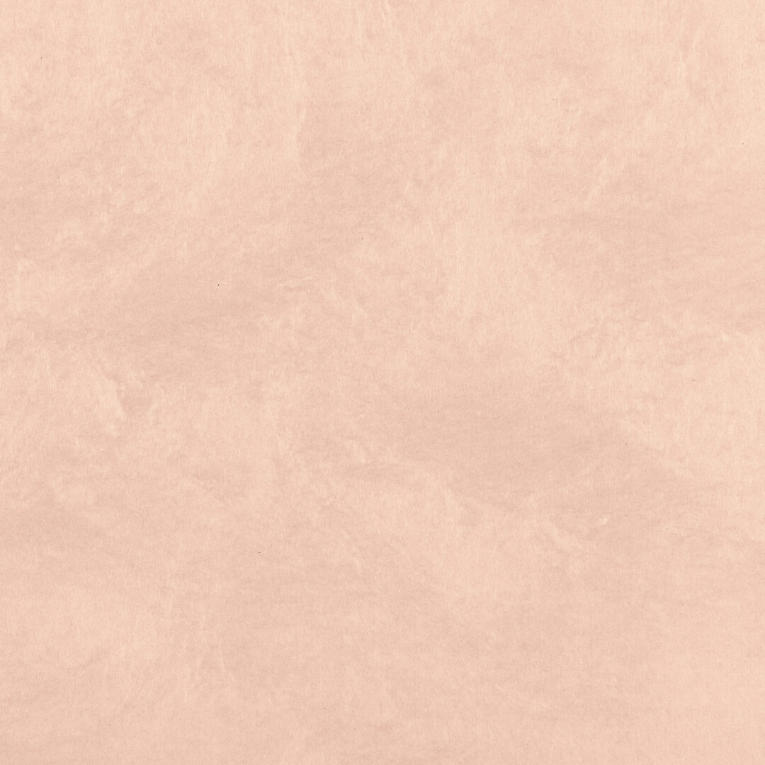 越前手漉　雲肌紙