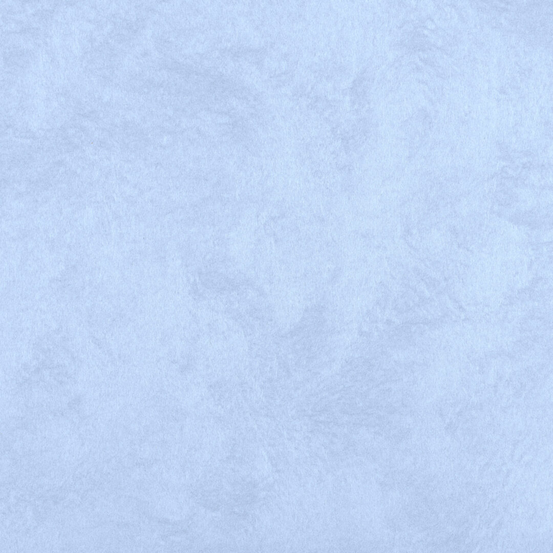 越前手漉　雲肌紙