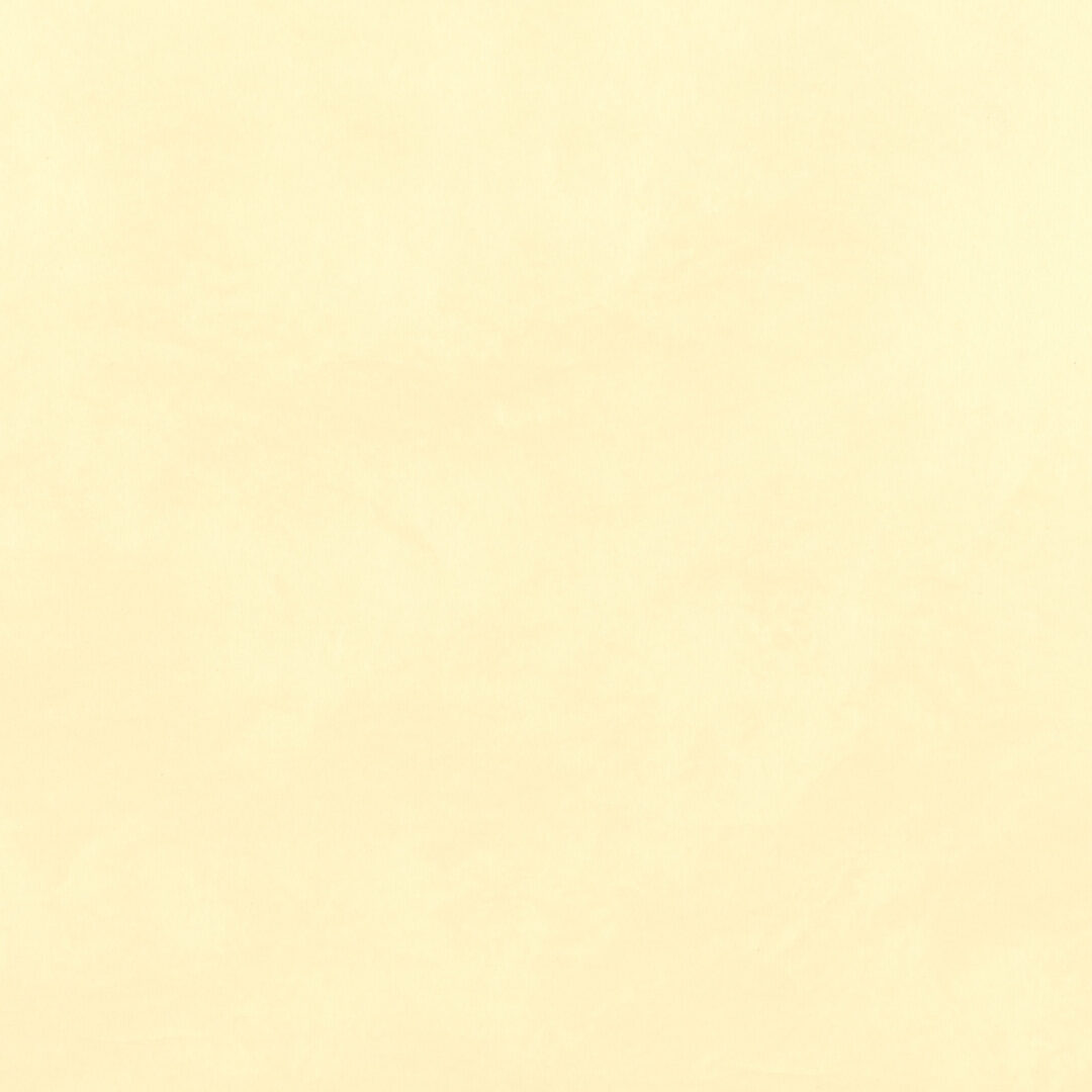 越前手漉　雲肌紙