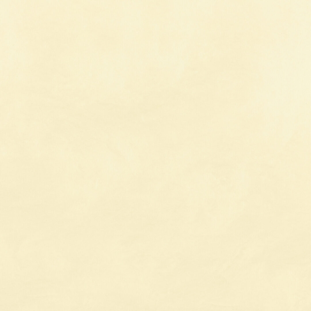 越前手漉　雲肌紙