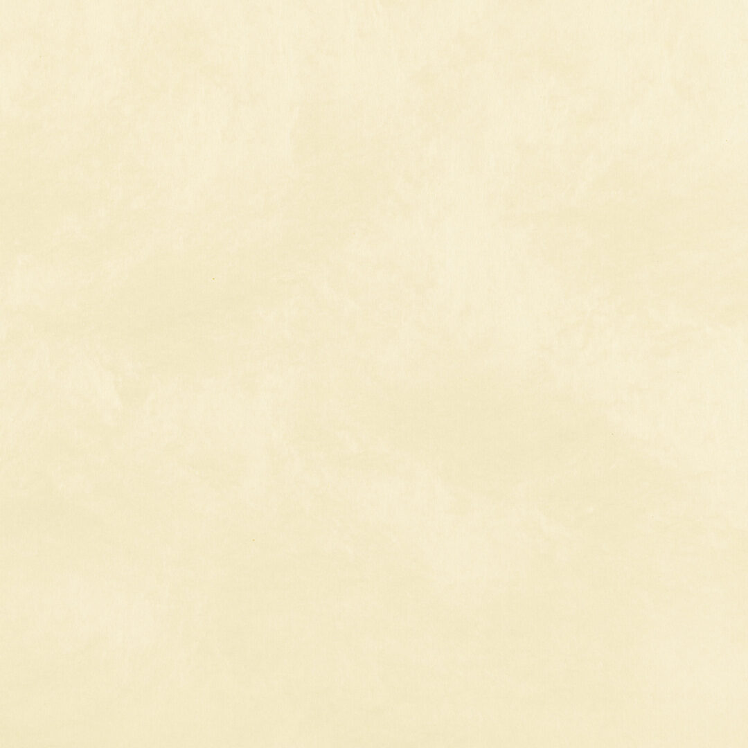 越前手漉　雲肌紙