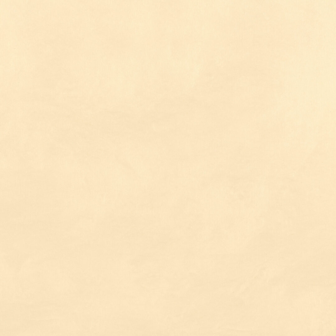 越前手漉　雲肌紙