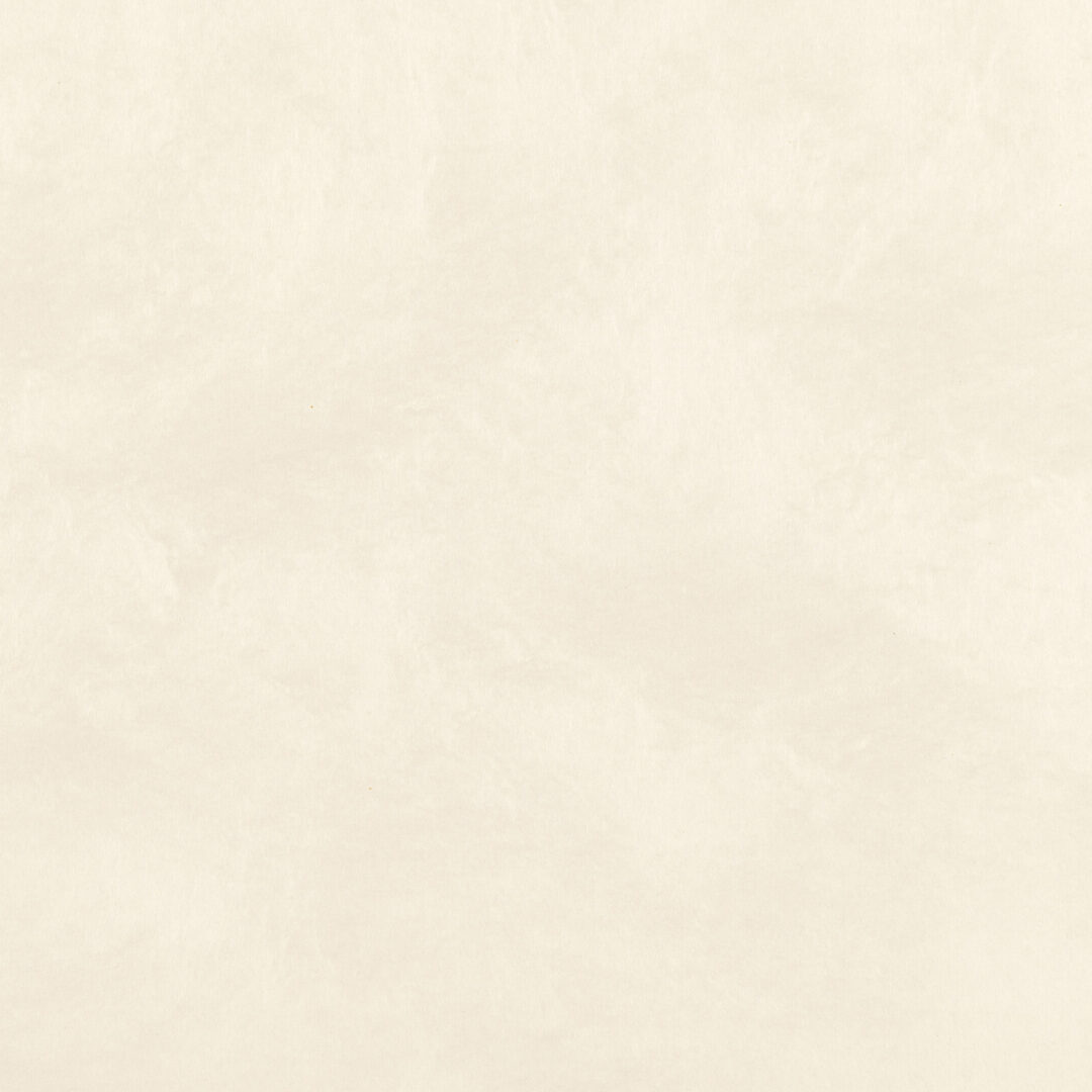 越前手漉　雲肌紙