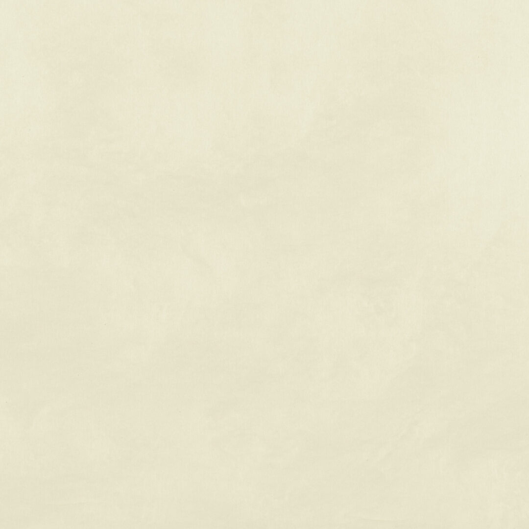 越前手漉　雲肌紙