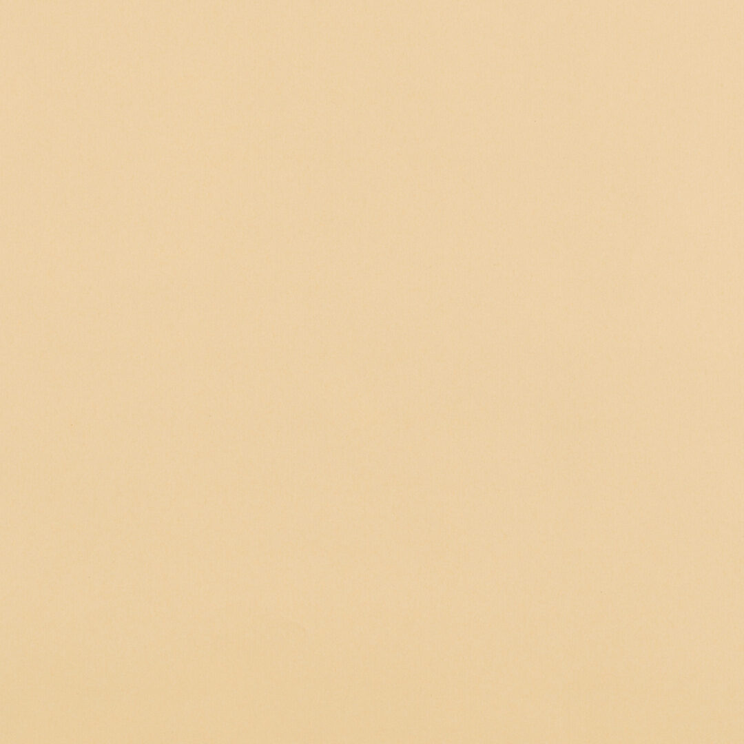 越前手漉　鳥の子紙