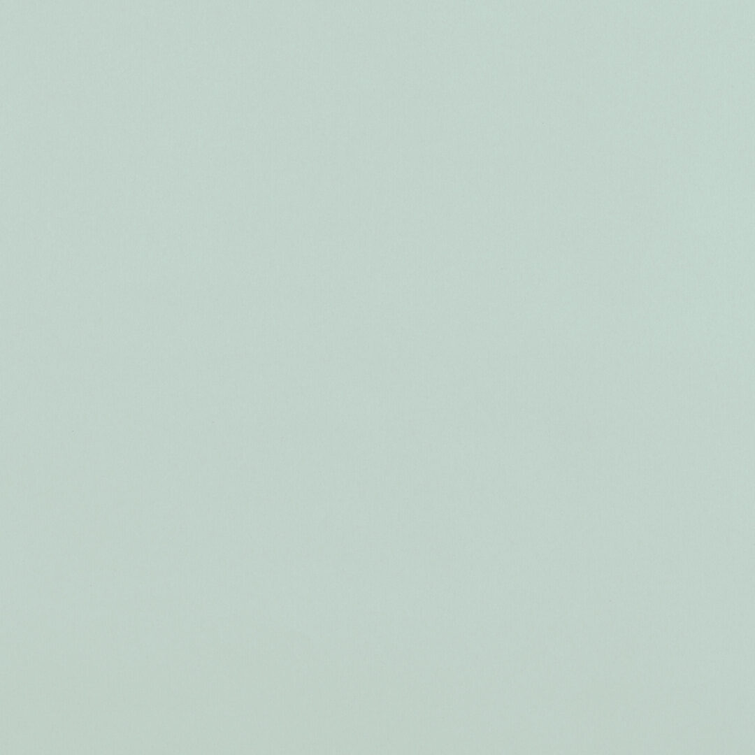 越前手漉　鳥の子紙