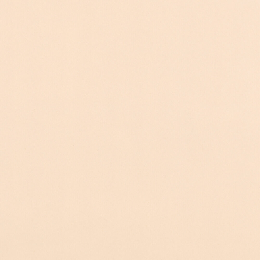 越前手漉　鳥の子紙