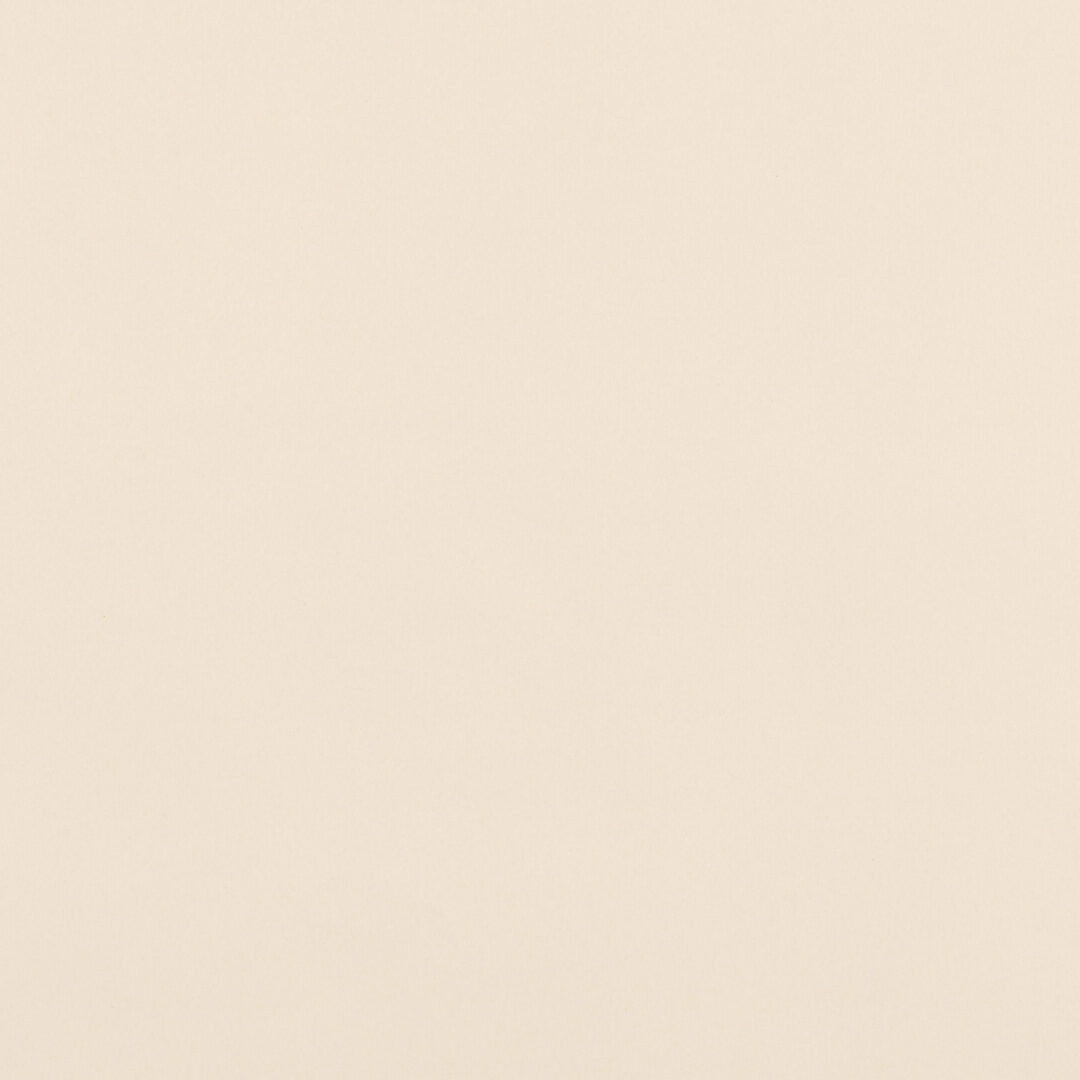 越前手漉　鳥の子紙