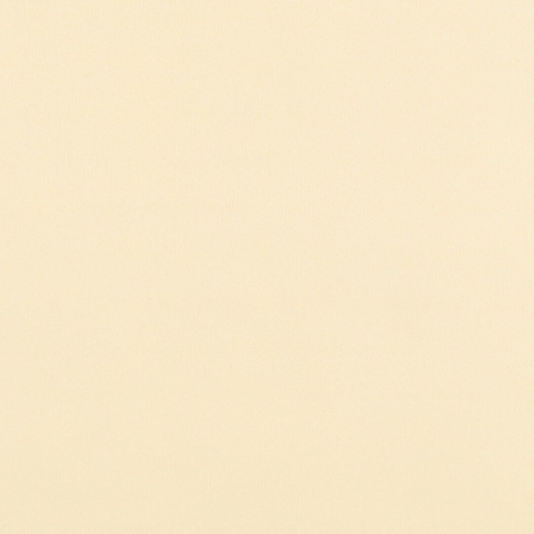 越前手漉　鳥の子紙