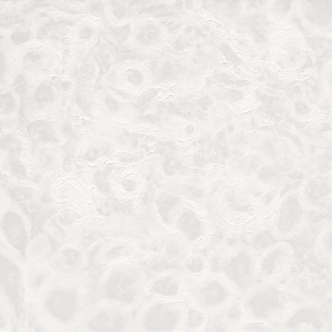 万華鏡　あわ楮