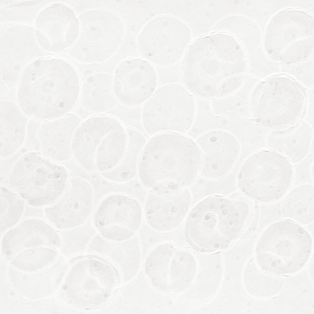 万華鏡　まるまる