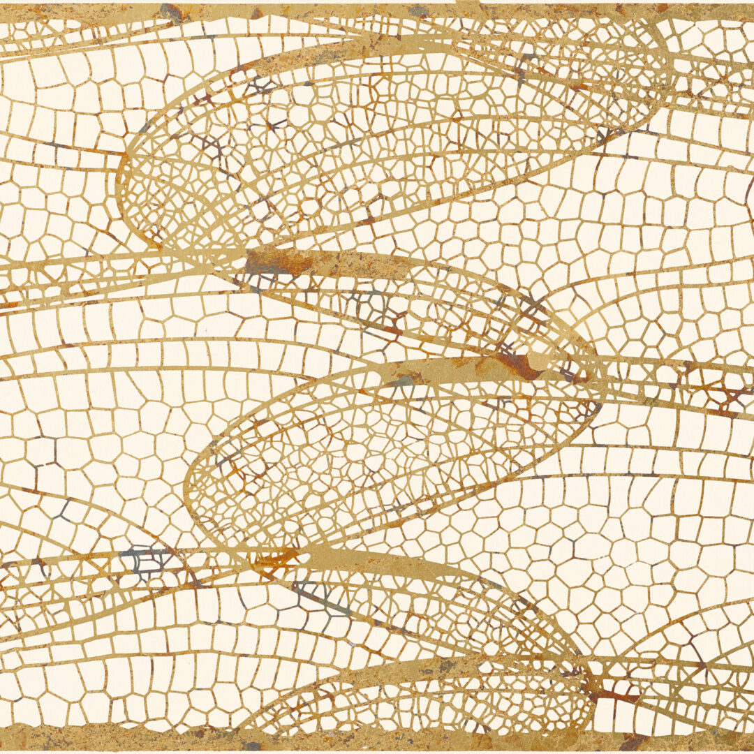 装飾和紙　ANIHANE-金