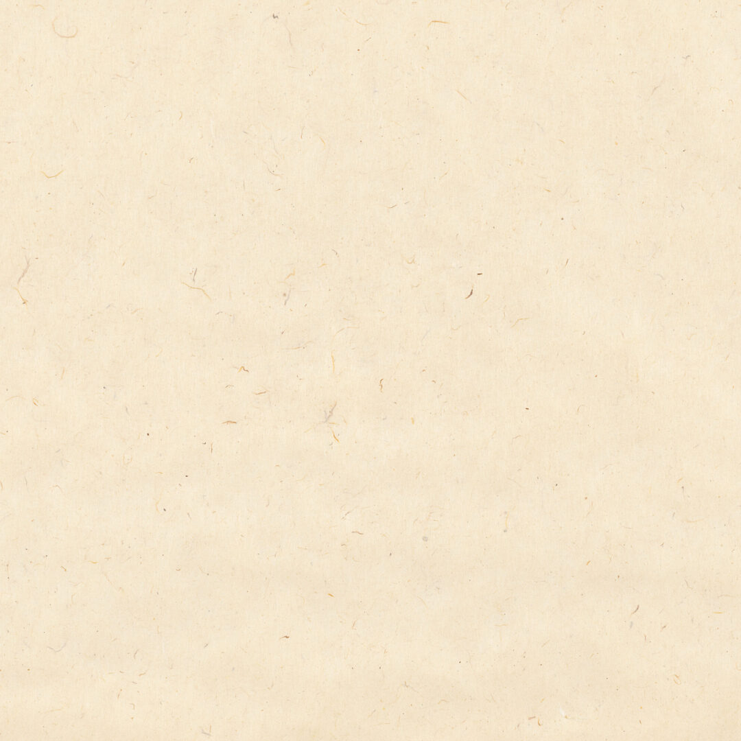 ヤケ入り純楮紙