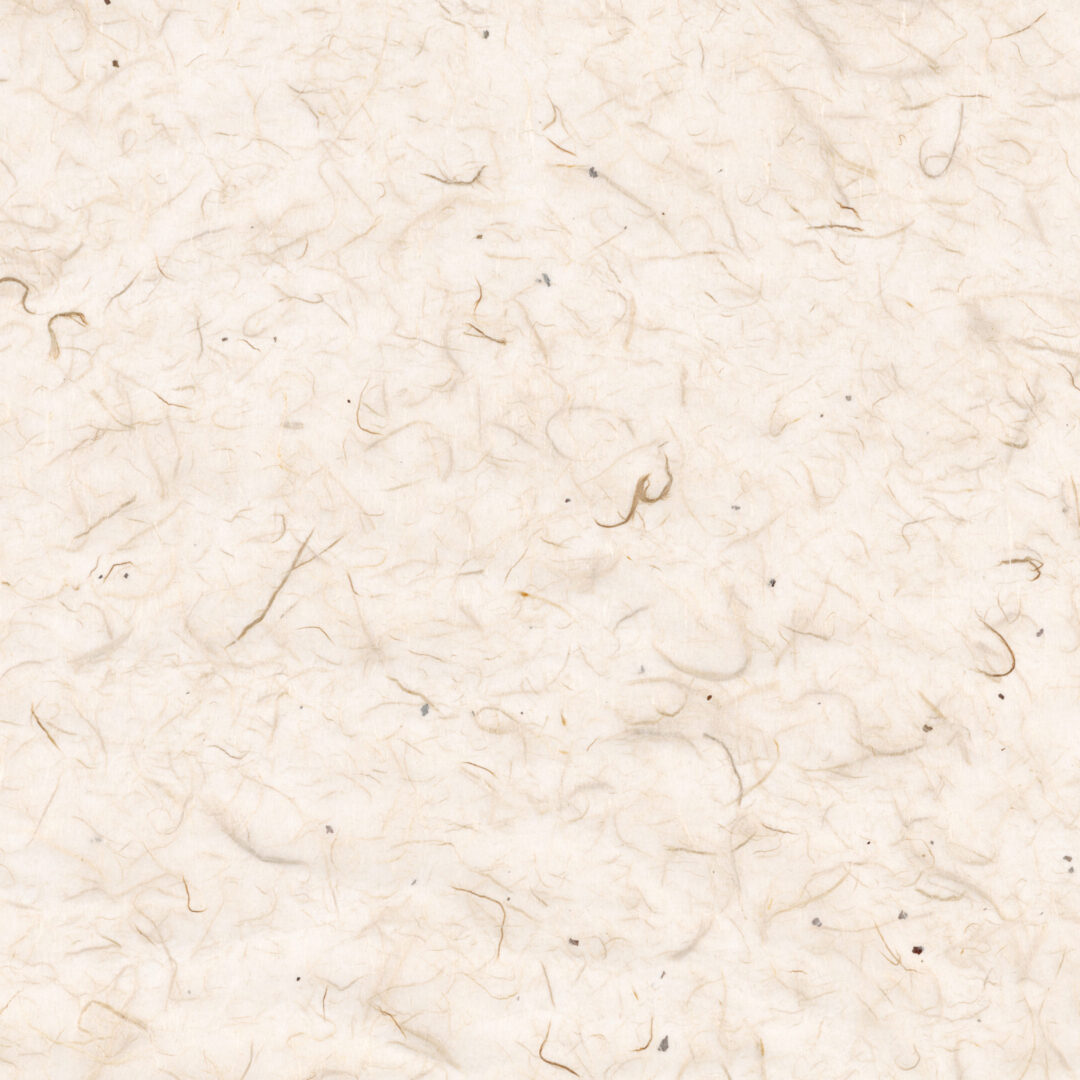 【廃番予定】皮入り雲竜紙（薄口）