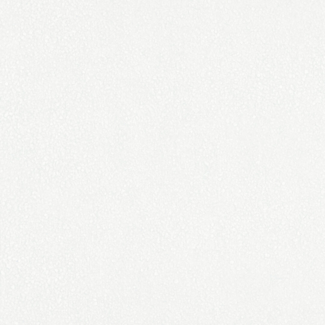 破れにくい障子紙　落水