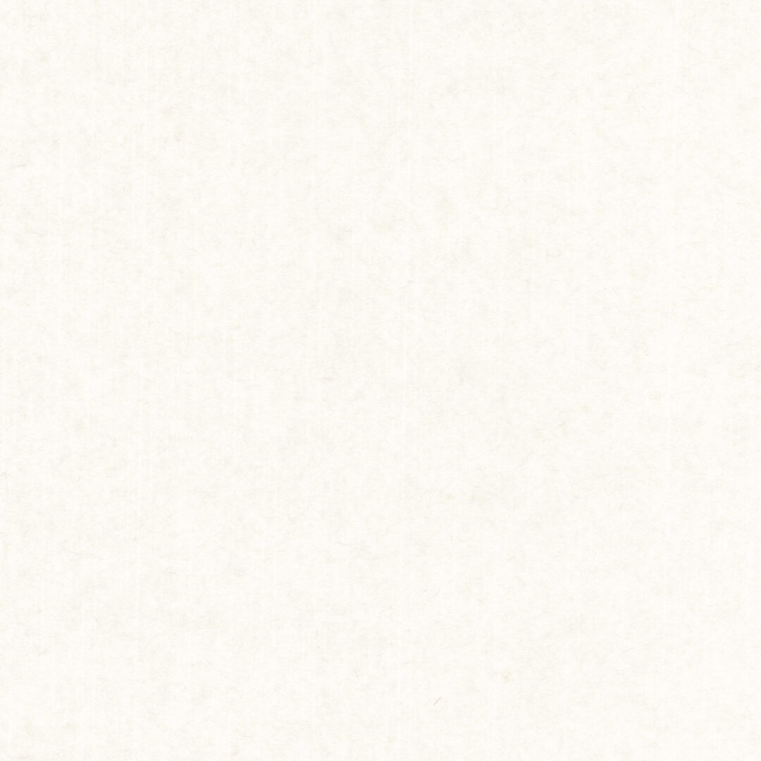 破れにくい障子紙　楮